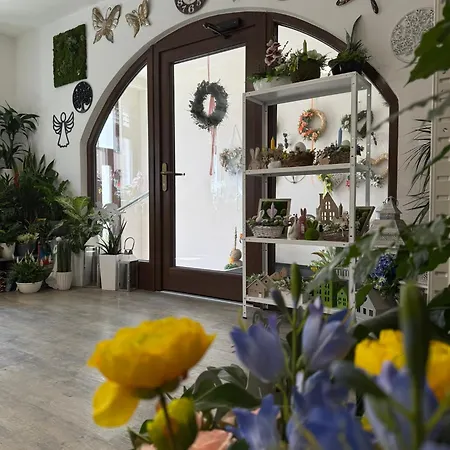 Apartmán Topinambur